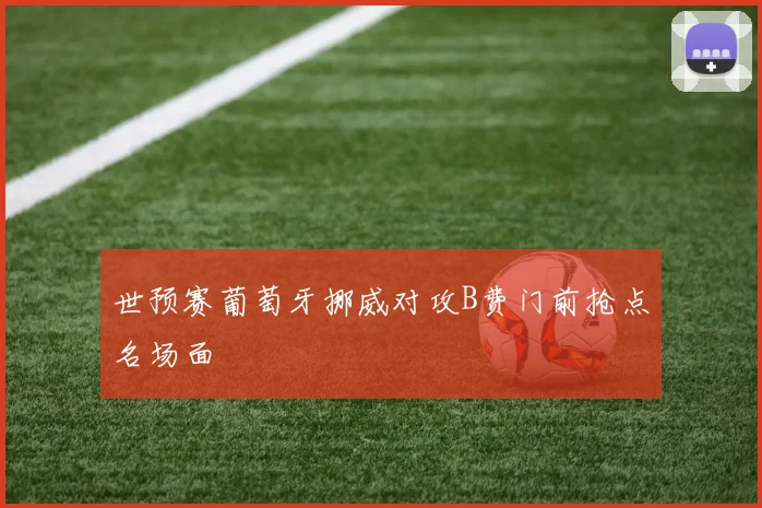 世预赛葡萄牙挪威对攻B费门前抢点名场面