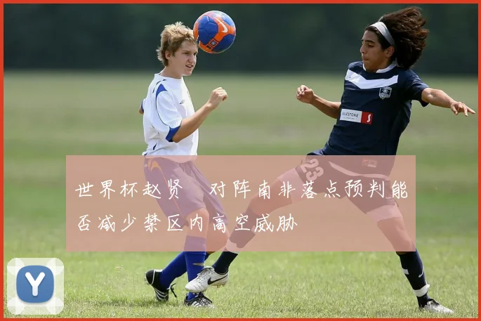 世界杯赵贤祐对阵南非落点预判能否减少禁区内高空威胁